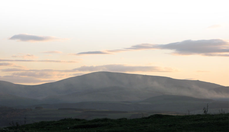 hodgeweb landscape
